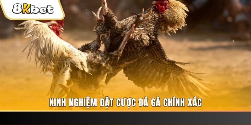 kuwin1 xổ số thứ bảy hàng tuần