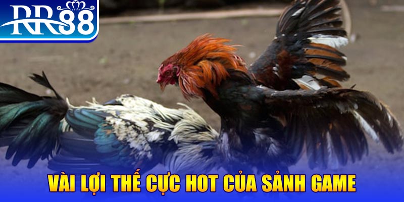 kuwin1 xổ số quảng nam