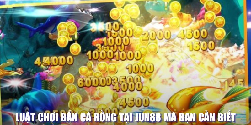 kuwin1 xổ số đài hà nội
