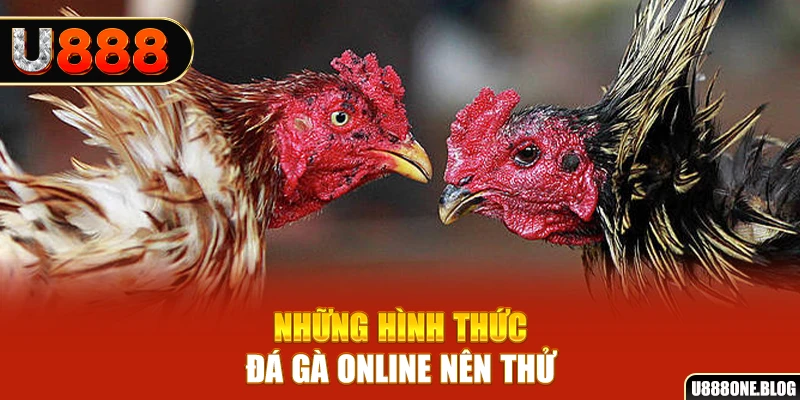 kuwin1 nổ hũ ai là gì