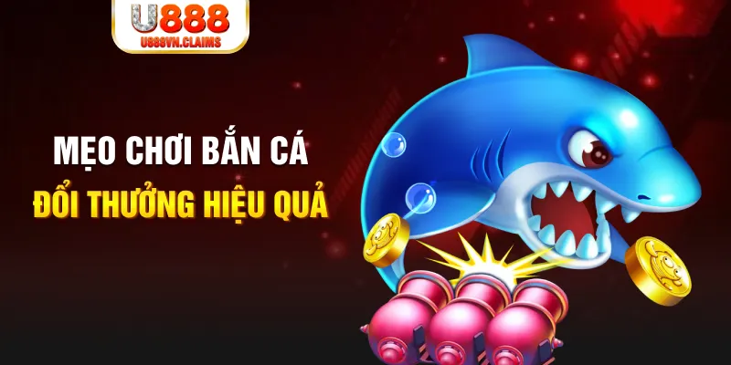 kuwin1 gà chọi cam ranh