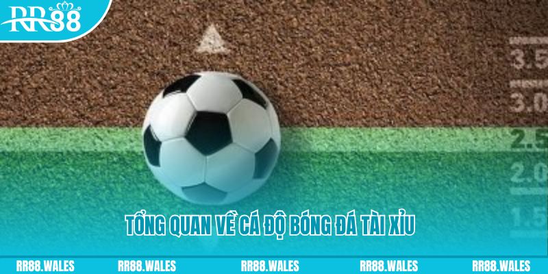 kuwin1 đăng nhập roulette online