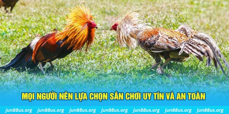kuwin1 Cỡ bảy