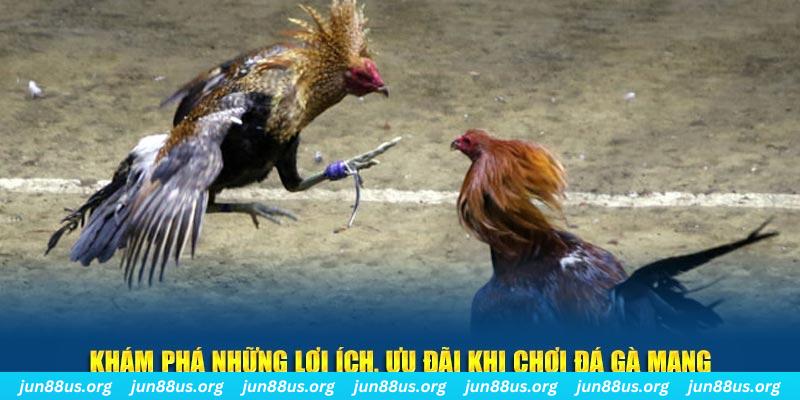 kuwin1 đăng nhập liêng live