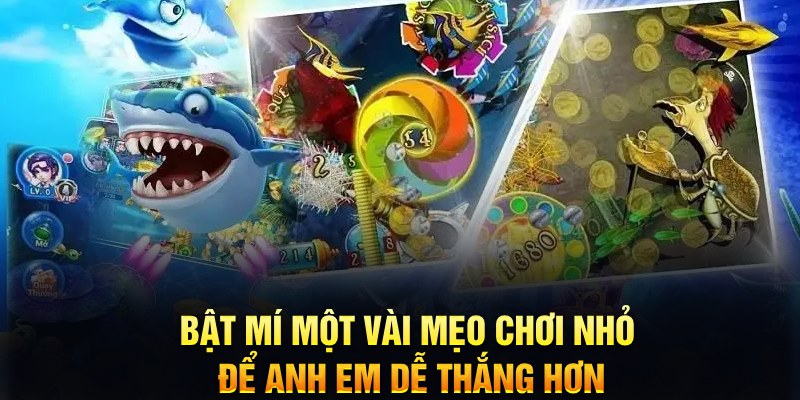 kuwin1 xổ số thứ ba