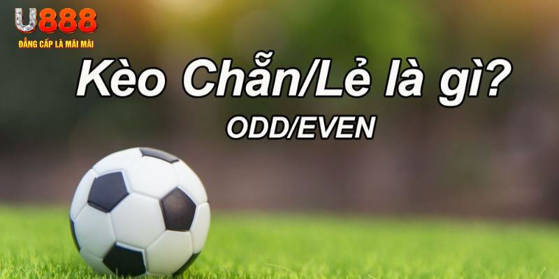 kuwin1 đăng nhập sòng bạc 2024