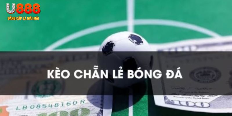 kuwin1 gà chọi c1.tv